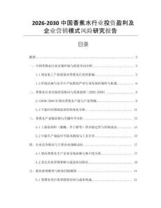 2026-2030中國香蕉水行業投資盈利及企業營銷模式風險研究報告