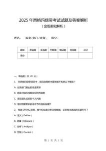 2025年西格瑪綠帶考試試題及答案解析