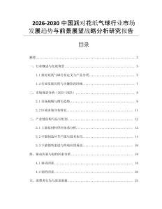 2026-2030中國(guó)派對(duì)花紙氣球行業(yè)市場(chǎng)發(fā)展趨勢(shì)與前景展望戰(zhàn)略分析研究報(bào)告