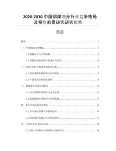 2026-2030中國煙煤細分行業競爭格局及投資前景研究研究報告