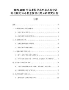 2026-2030中國小船比米尼上衣行業市場發展趨勢與前景展望戰略分析研究報告