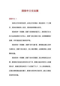 翅膀作文優(yōu)選篇