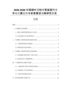 2026-2030中國柳葉刀和噴管裝置行業(yè)市場發(fā)展趨勢與前景展望戰(zhàn)略研究報告