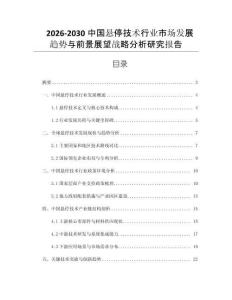 2026-2030中國懸停技術行業市場發展趨勢與前景展望戰略分析研究報告
