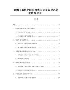 2026-2030中國視力表顯示器行業最新度研究報告
