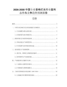 2026-2030中國專業(yè)音響燈光行業(yè)盈利態(tài)勢與競爭趨勢預測報告