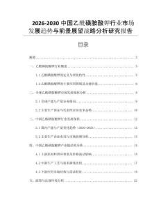 2026-2030中國乙酰磺胺酸鉀行業市場發展趨勢與前景展望戰略分析研究報告