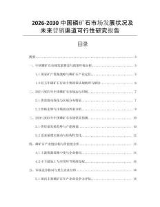 2026-2030中國磷礦石市場發(fā)展狀況及未來營銷渠道可行性研究報告