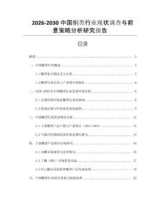 2026-2030中國酮類行業(yè)現(xiàn)狀調(diào)查與前景策略分析研究報告