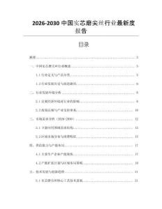 2026-2030中国实芯磨尖丝行业最新度报告