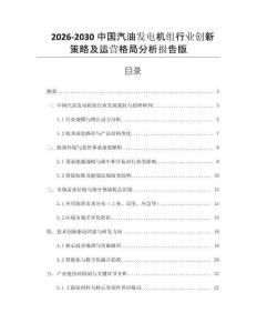 2026-2030中國汽油發電機組行業創新策略及運營格局分析報告版