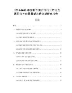 2026-2030中國剎車清潔劑行業(yè)市場發(fā)展趨勢與前景展望戰(zhàn)略分析研究報告