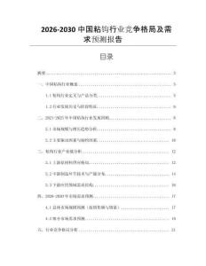 2026-2030中國粘鉤行業競爭格局及需求預測報告