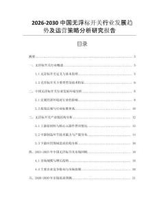 2026-2030中國無浮標開關行業發展趨勢及運營策略分析研究報告