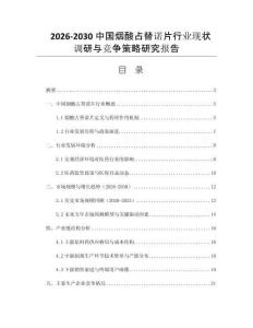 2026-2030中國煙酸占替諾片行業(yè)現(xiàn)狀調(diào)研與競爭策略研究報(bào)告