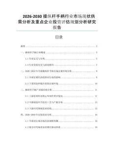 2026-2030操縱桿手柄行業市場現狀供需分析及重點企業投資評估規劃分析研究報告