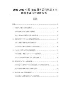 2026-2030中國PaaS服務運營現狀與應用前景及趨勢分析報告