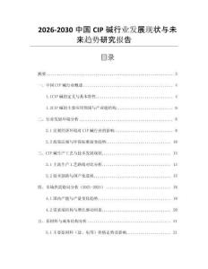 2026-2030中國(guó)CIP堿行業(yè)發(fā)展現(xiàn)狀與未來(lái)趨勢(shì)研究報(bào)告