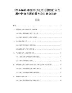 2026-2030中國帶狀電纜連接器行業發展分析及發展前景與投資研究報告