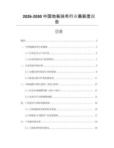 2026-2030中國地板抹布行業最新度報告