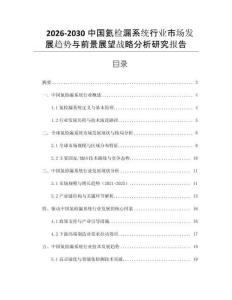 2026-2030中國氦檢漏系統(tǒng)行業(yè)市場發(fā)展趨勢與前景展望戰(zhàn)略分析研究報告
