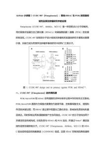 AbMole小講堂丨CUDC-907（Fimepinostat）：靶向HDAC與PI3K的雙重抑制劑及其在腫瘤研究中的應用