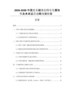 2026-2030中國工業(yè)磁力泵行業(yè)發(fā)展形勢及未來運營戰(zhàn)略規(guī)劃報告