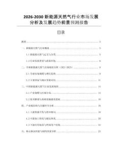 2026-2030新能源天然氣行業(yè)市場發(fā)展分析及發(fā)展趨勢前景預(yù)測報告