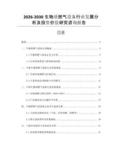 2026-2030生物質(zhì)燃?xì)庠O(shè)備行業(yè)發(fā)展分析及投資價值研究咨詢報告