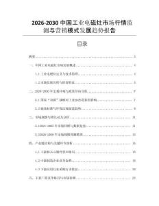 2026-2030中國工業(yè)電磁灶市場行情監(jiān)測與營銷模式發(fā)展趨勢報告
