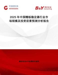 2025年中國鰭板穩(wěn)定器行業(yè)市場規(guī)模及投資前景預(yù)測分析報告
