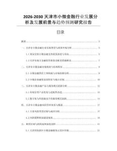 2026-2030天津市小微金融行業(yè)發(fā)展分析及發(fā)展前景與趨勢預(yù)測研究報告