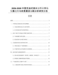 2026-2030中國充油式潛水泵行業(yè)市場發(fā)展趨勢與前景展望戰(zhàn)略分析研究報告