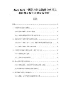 2026-2030中國供應(yīng)鏈金融行業(yè)市場發(fā)展前瞻及投資戰(zhàn)略研究報告