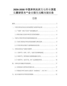 2026-2030中國并網(wǎng)光伏發(fā)電行業(yè)深度發(fā)展研究與“”企業(yè)投資戰(zhàn)略規(guī)劃報告