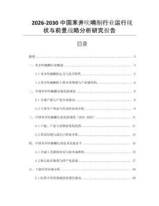 2026-2030中國苯并呋喃酮行業運行現狀與前景戰略分析研究報告