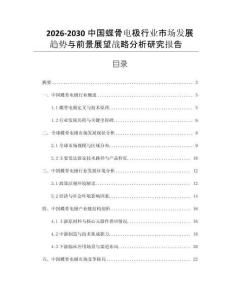 2026-2030中國蝶骨電極行業(yè)市場發(fā)展趨勢與前景展望戰(zhàn)略分析研究報告