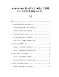 2026-2030中國雞爪鳳爪市場經營管理風險與營銷策略規劃報告
