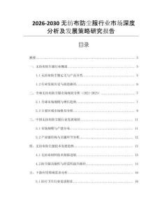 2026-2030無紡布防塵服行業(yè)市場深度分析及發(fā)展策略研究報告