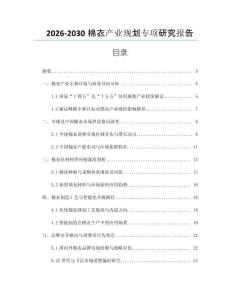 2026-2030棉衣產業規劃專項研究報告