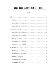 2026-2030瀝青項目商業計劃書
