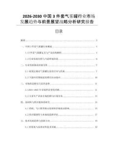 2026-2030中國3件套氣霧罐行業(yè)市場發(fā)展趨勢與前景展望戰(zhàn)略分析研究報告