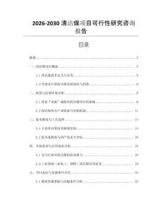 2026-2030清潔煤項目可行性研究咨詢報告