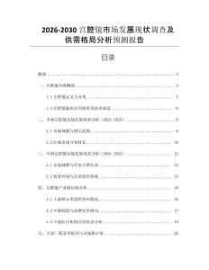2026-2030宮腔鏡市場發(fā)展現(xiàn)狀調查及供需格局分析預測報告