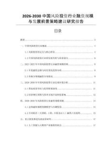 2026-2030中國(guó)風(fēng)險(xiǎn)投資行業(yè)融資規(guī)模與發(fā)展前景策略建議研究報(bào)告