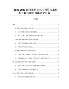 2026-2030碳纖維行業(yè)風(fēng)險(xiǎn)投資發(fā)展分析及投資融資策略研究報(bào)告
