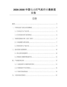 2026-2030中國電動打氣機行業(yè)最新度報告