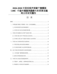 2026-2030中國(guó)低噪聲模塊下變頻器（LNB）行業(yè)市場(chǎng)發(fā)展趨勢(shì)與前景展望戰(zhàn)略分析研究報(bào)告