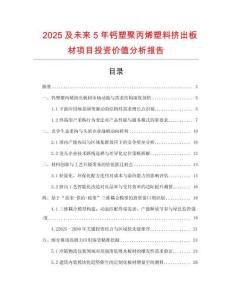 2025及未來5年鈣塑聚丙烯塑料擠出板材項(xiàng)目投資價(jià)值分析報(bào)告