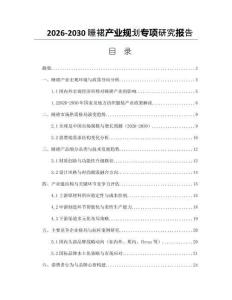 2026-2030睡裙產業規劃專項研究報告